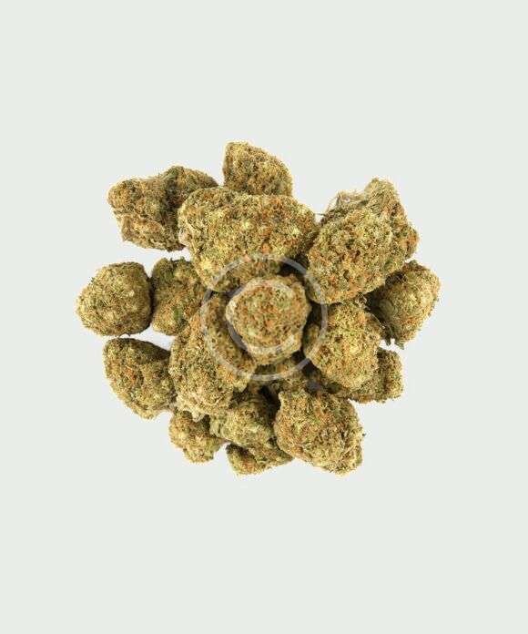Alpine haze hemp flower