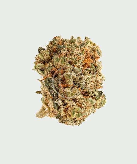 CBD-rich wellness hemp